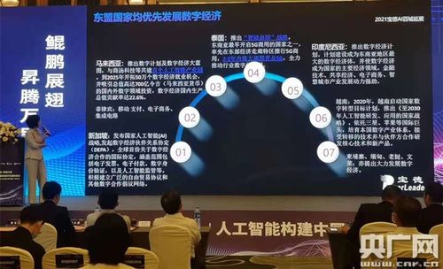 依托人工智能，發(fā)展廣西數(shù)字經(jīng)濟產(chǎn)業(yè)——聚焦人工智能應(yīng)用軟件開發(fā)